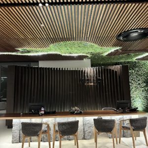 Panelado Lobby y Forramiento de Techo